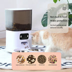 SmartCam Auto Pet Feeder